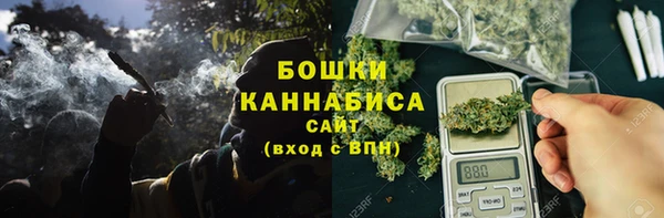 мдпв Бородино