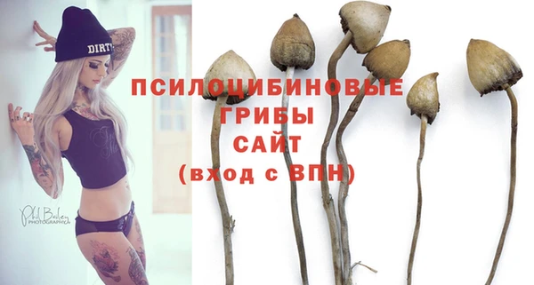 ПСИЛОЦИБИНОВЫЕ ГРИБЫ Бугульма