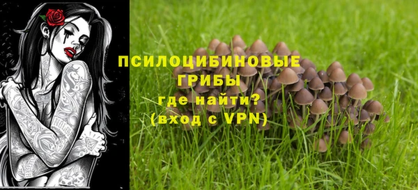 ПСИЛОЦИБИНОВЫЕ ГРИБЫ Бугульма