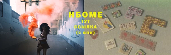мдпв Бородино