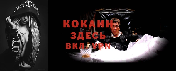 2c-b Тавда