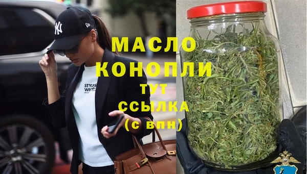 мдпв Бородино