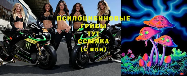 ECSTASY Сясьстрой