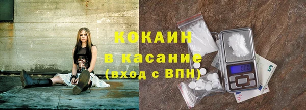 мдпв Бородино