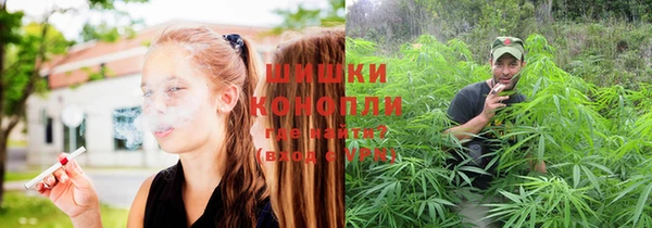 ПСИЛОЦИБИНОВЫЕ ГРИБЫ Бугульма