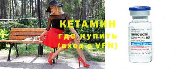 мдпв Бородино