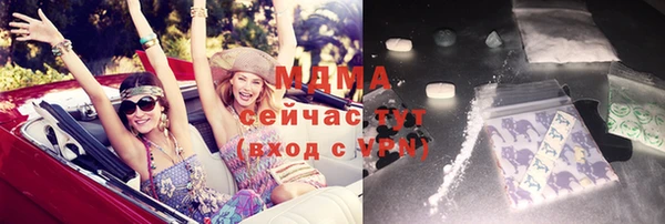 мдпв Бородино