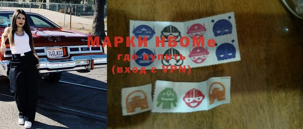 мдпв Бородино