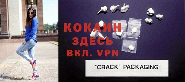 мдпв Бородино