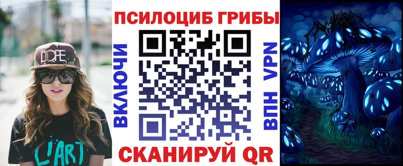 Псилоцибиновые грибы Psilocybe  наркота  гидра как зайти  Киржач 